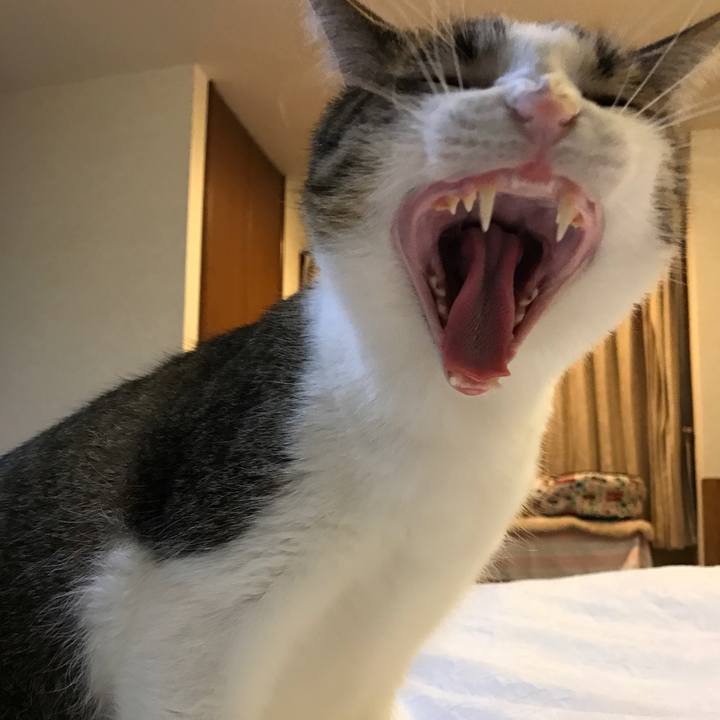 2ea4b592 711b 449f 80f1 9bcd0ec0b2d0