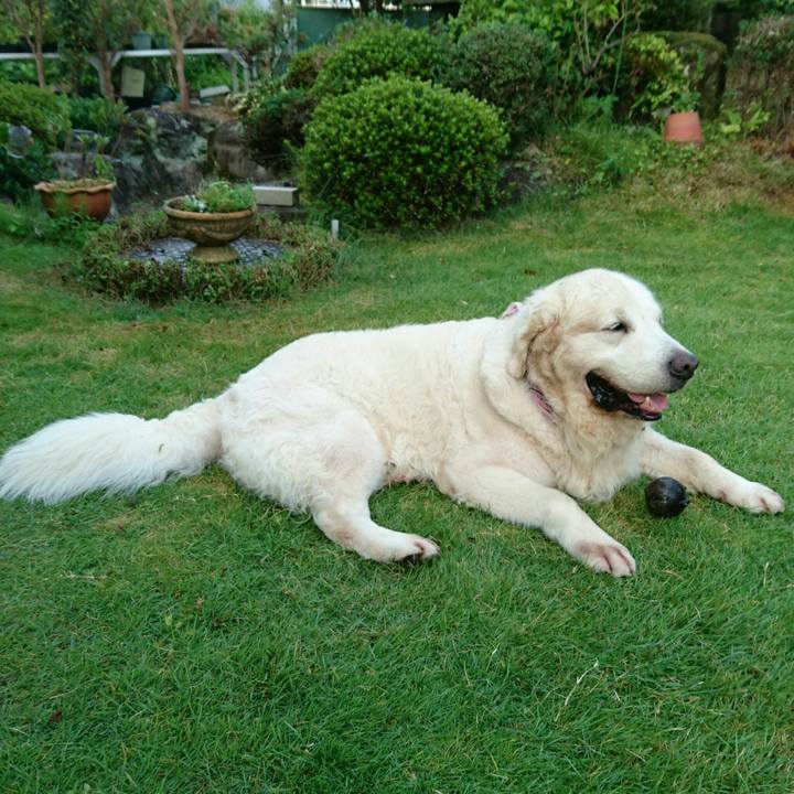 2ea5442f eb33 4dad bb67 c65e866d5ed9