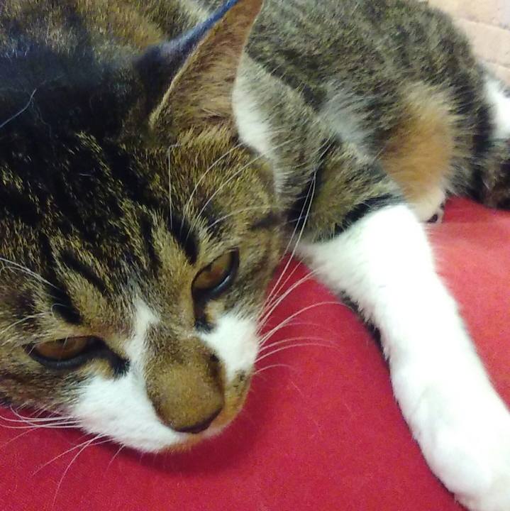 2ea5454e a414 47af 9a0a 213c155a1748