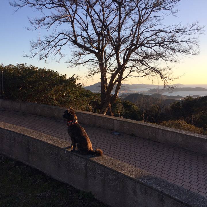 2ea5647b 139e 405a 89e3 4ba46c23b9b5