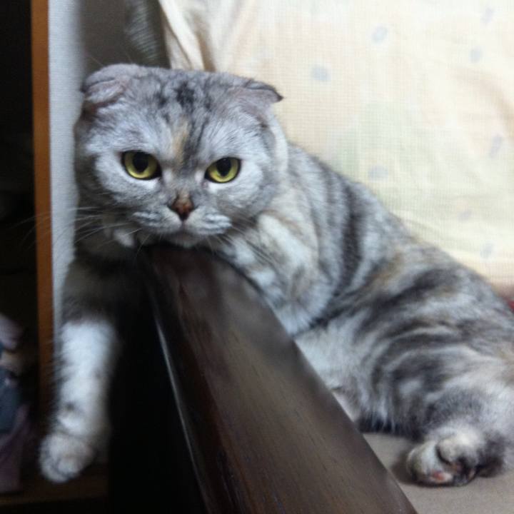 2ea565f7 09d5 4f53 8b7f 26e4db60fd3c