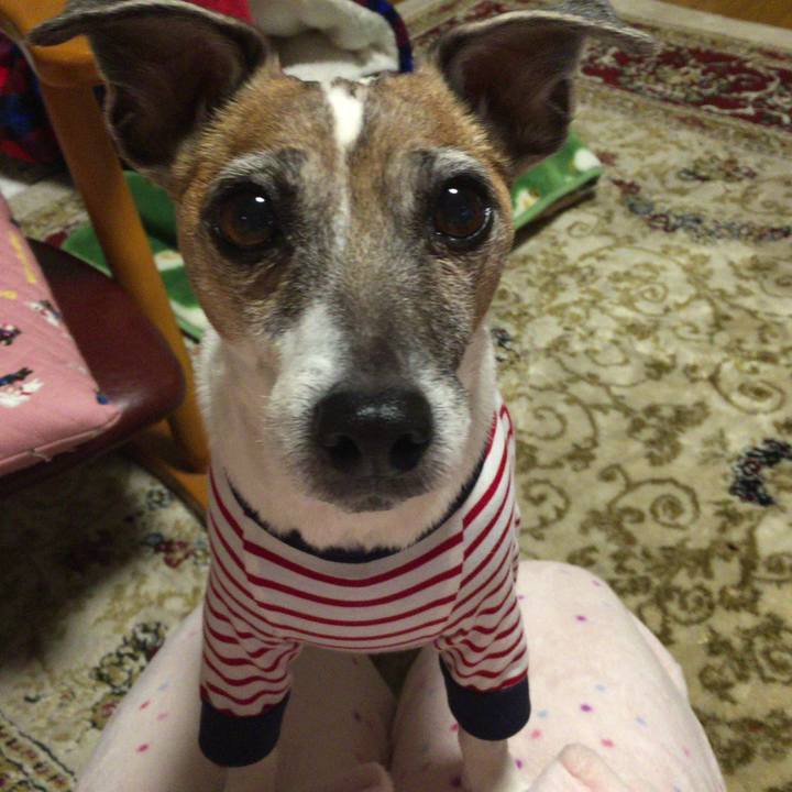 2ea61307 1874 4e5c 8996 13a207d19a43