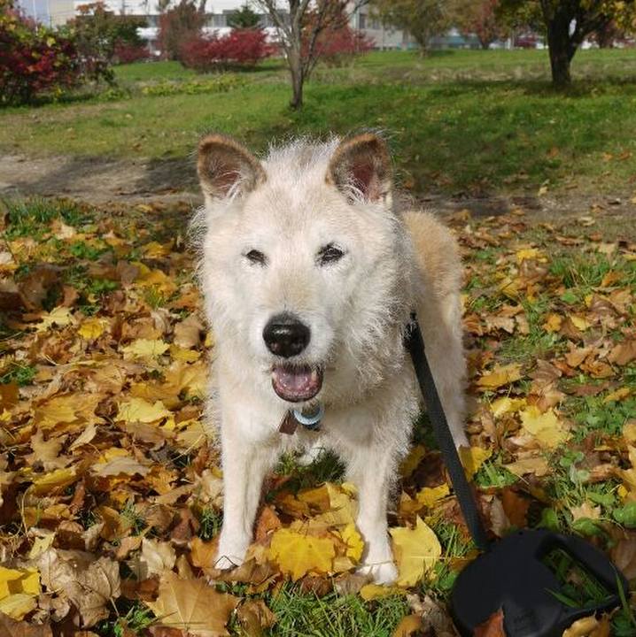 2ea67318 31fb 4e6d af97 1e2413ffa9c7