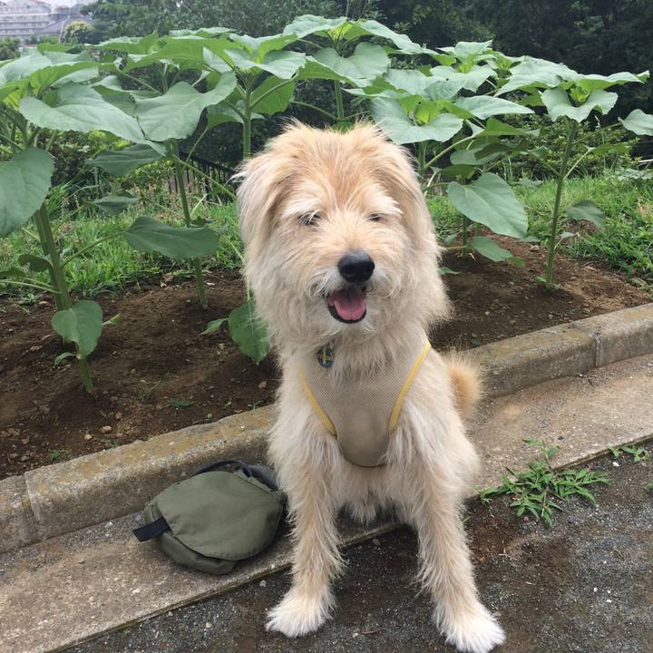 2ea68ac2 965a 4c59 b3e4 930fe4c2ecc6