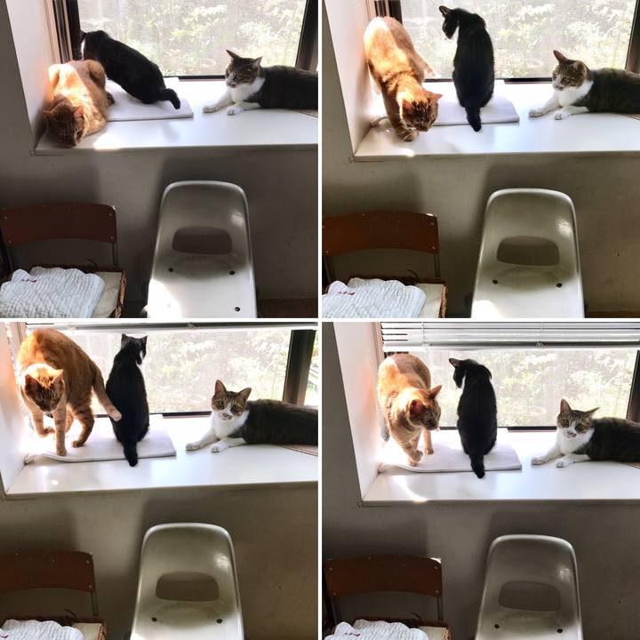 2ea7a18b bfa9 421b ae46 e54902a27c2b