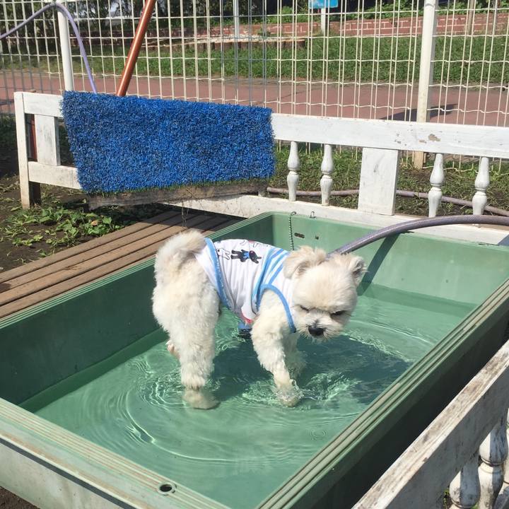 2ea7ce34 7d40 452b a228 f06692027a4d