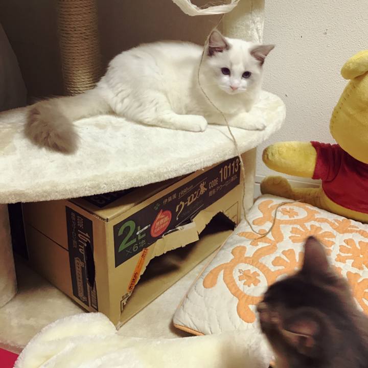 2ea7f3d5 5feb 4404 8cee 549cd4a23d55