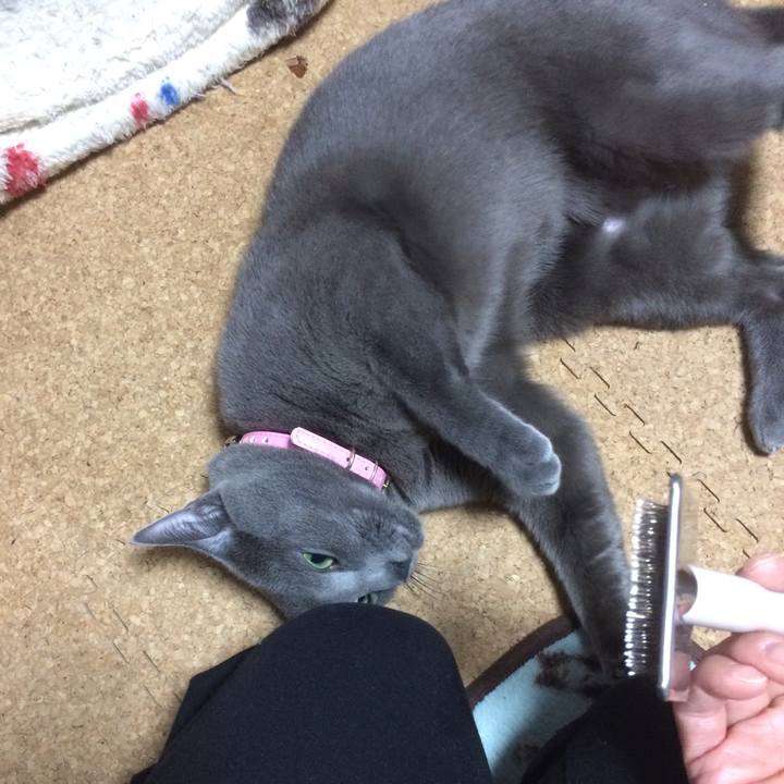 2ea908f5 e67d 48ba b8b6 39c3ed39abed