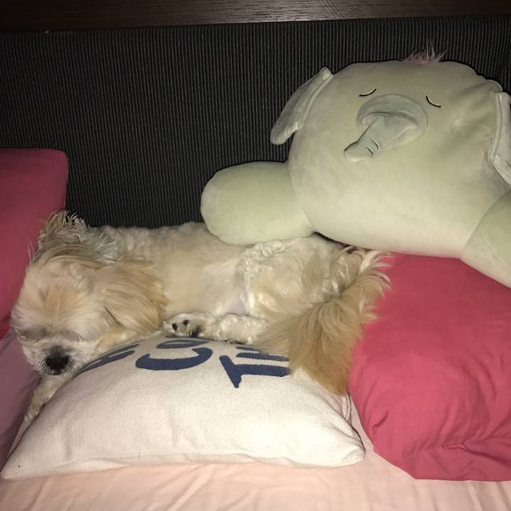 2ea92b7c 6097 43d2 8c36 cd210d64c825