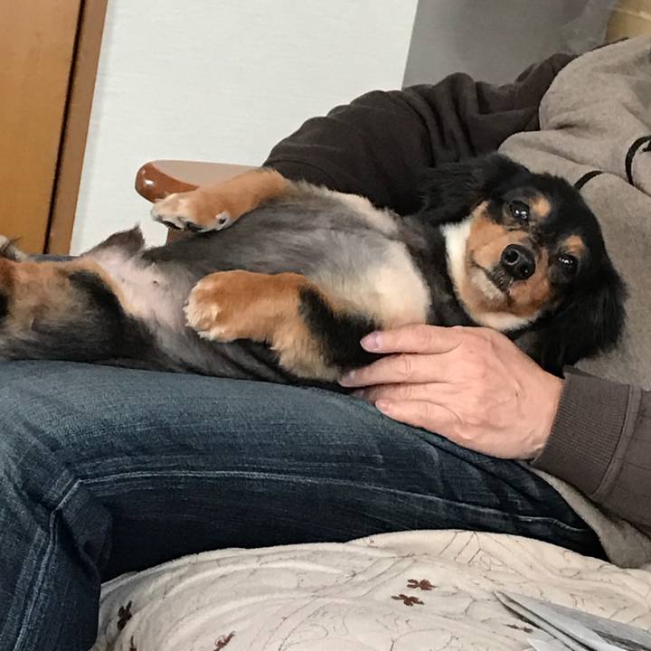 2ea94c2c 59c0 4e7a 9ecb a053455a7df1