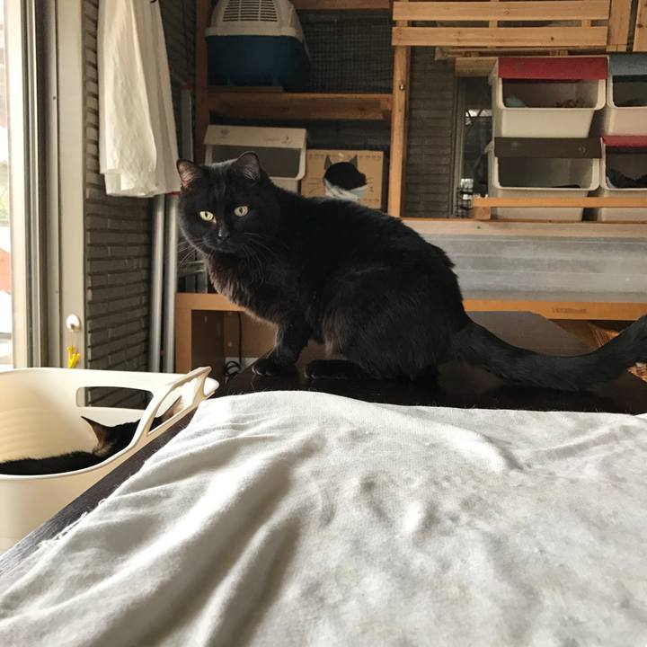 2eaa5f11 f6d4 4982 8d21 52b06e40b4d6