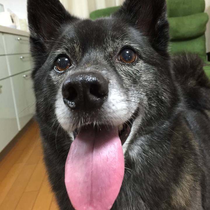 2eaacda8 2495 4a31 aee5 7cfc851e1c88