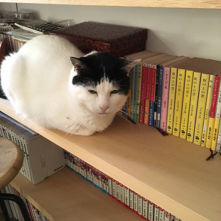 2eaad585 7bc4 4c41 b22d e21605c33fa0