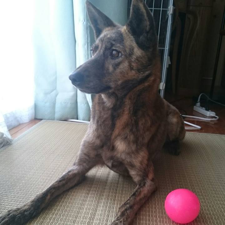 2eaaf5e3 1737 4a7b abdb 8b236aad031a