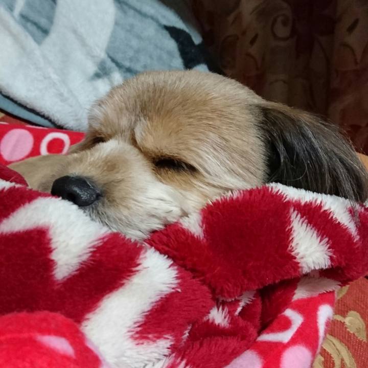 2eabb5e3 ceeb 47f9 82d2 9bd723eb7b0f