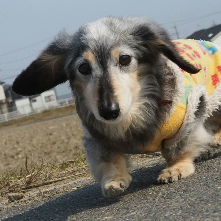 2eacc7e3 96d1 46c3 b8ae 5b6cc1618770