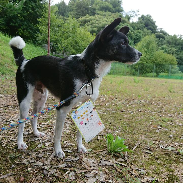 2eacdba6 ee37 425f ad98 40e0352719d1