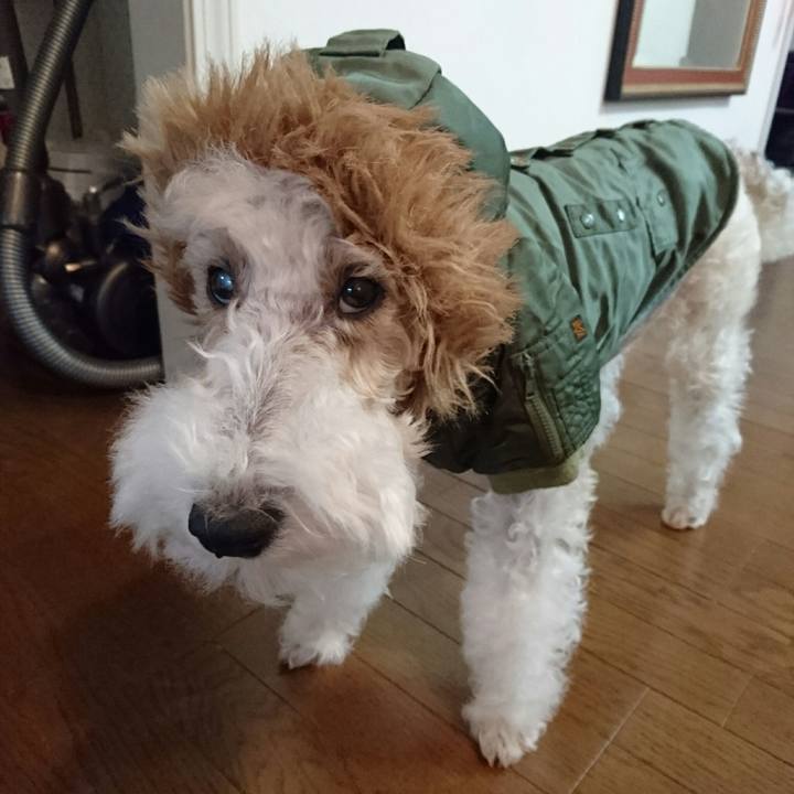 2eada44f 9565 4c21 85f1 910e476be714