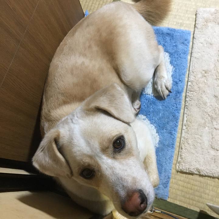 2eadfd0a 4d23 46fa 8cb9 35ac3fa95e26