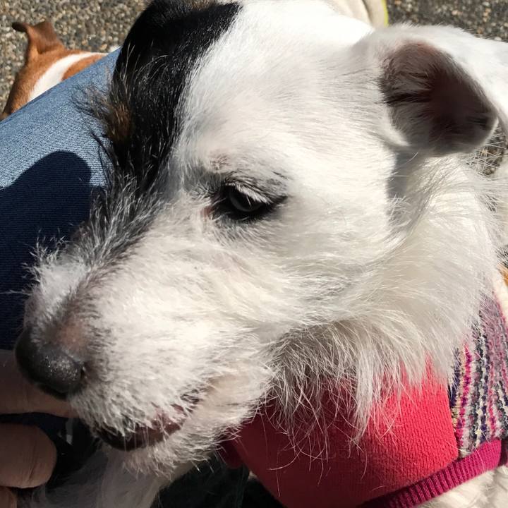 2eae2ea2 4a60 4b2f bdd7 4ca0d40d7d68