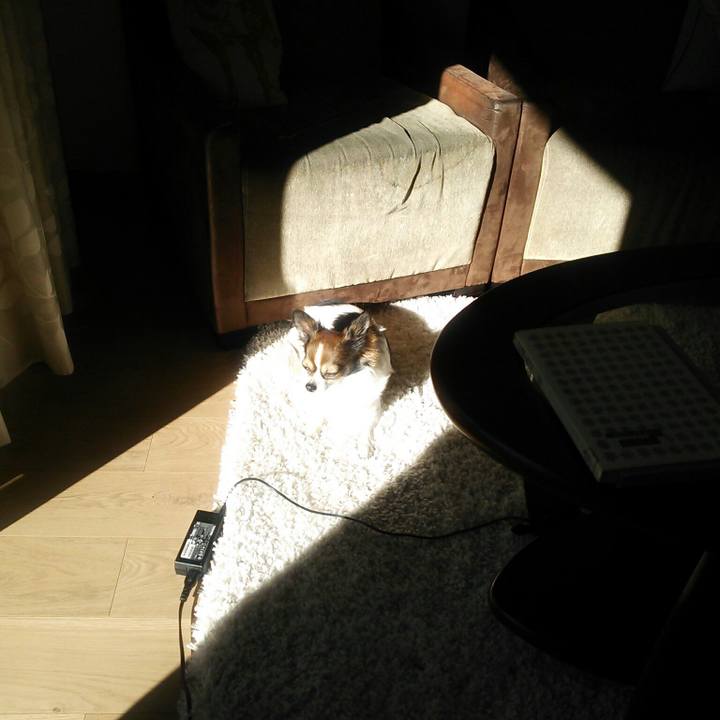 2eaee503 976c 4631 8750 a261c73a2e41