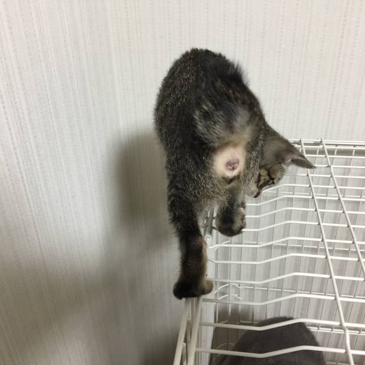 2eaeec38 7ac3 450f 95f9 cf8b6f0a821a