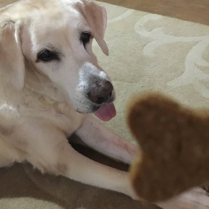 2eaf1064 9f34 4c12 ab3e b6509a1f30c9