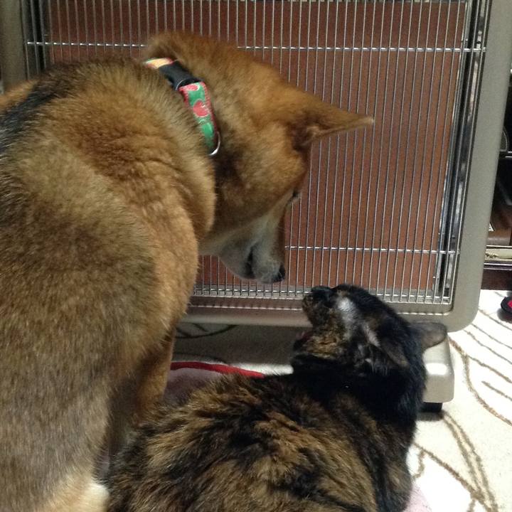 2eaf2b0a 8efd 411d b667 470754d5faba