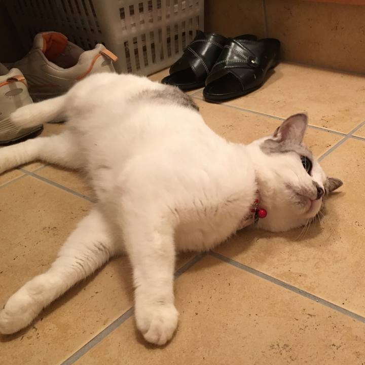 2eb00e95 40ae 429c ac85 2270186deec4