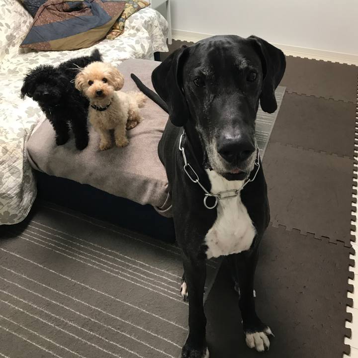 2eb02489 d263 413d ac46 a50e36a1cd64