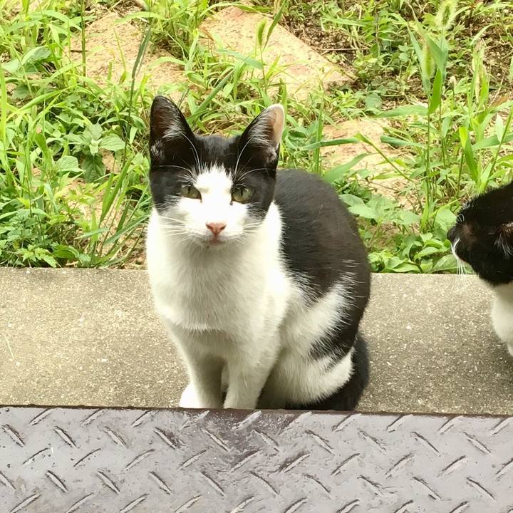 2eb0550e 4a86 477d bb73 ed29eab9b9bb