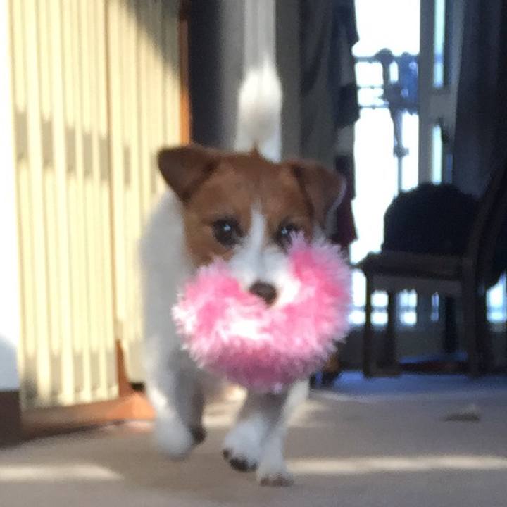 2eb061c8 d7cd 42c0 9b6c 812d6291016b