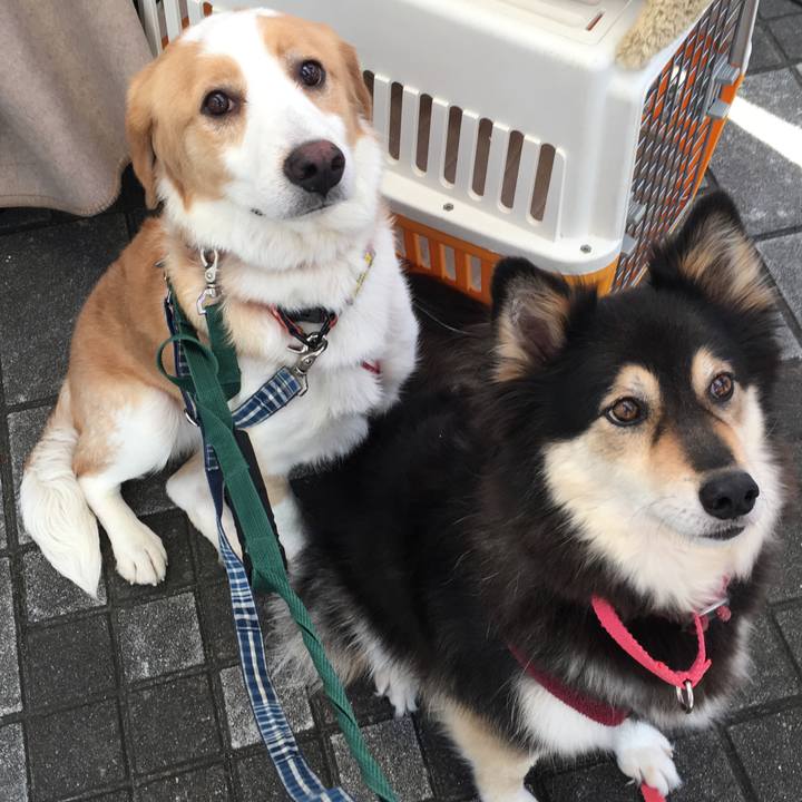 2eb08039 ca0b 4bd8 b692 a81bf3f99803