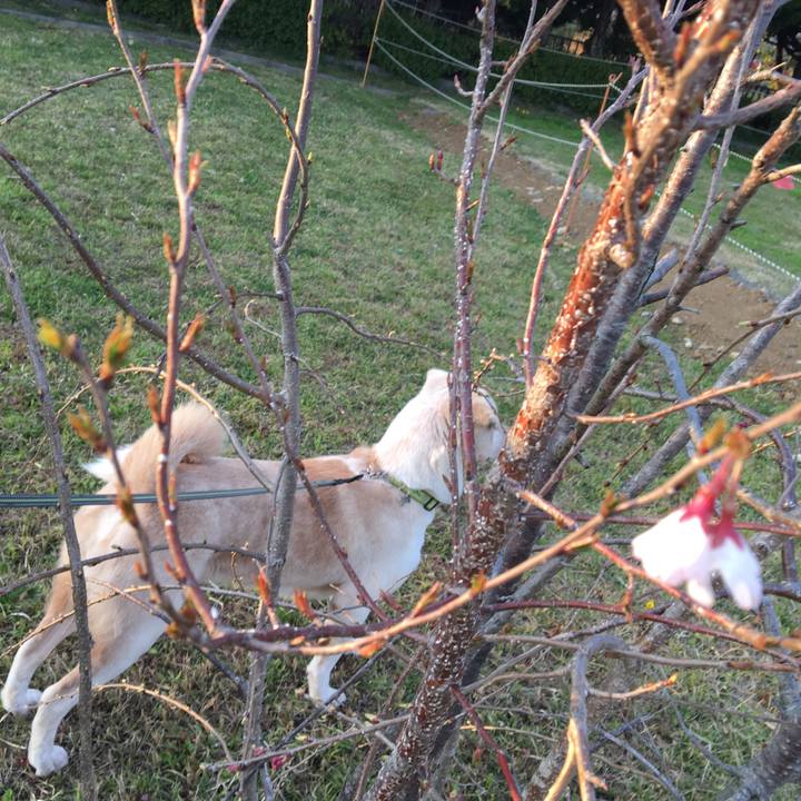 2eb10cca 82eb 4324 b71a 4407c5832445