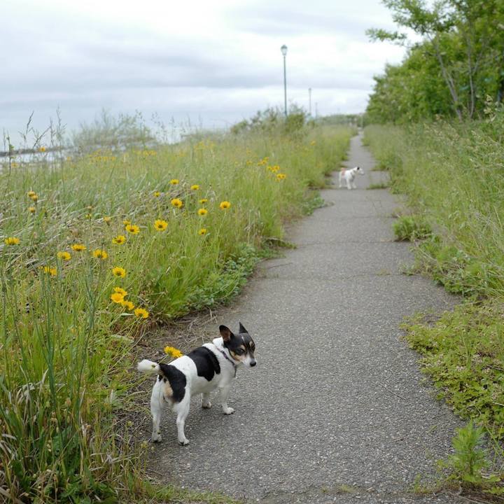 2eb12d93 d523 4e0e a755 b082685dda09