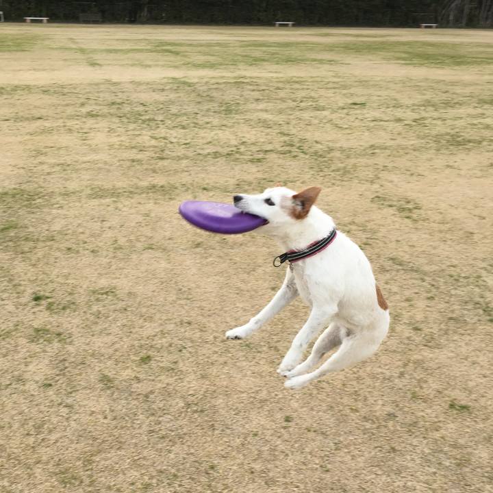 2eb133df 69c5 4d5f bb75 3a129caa4ac5