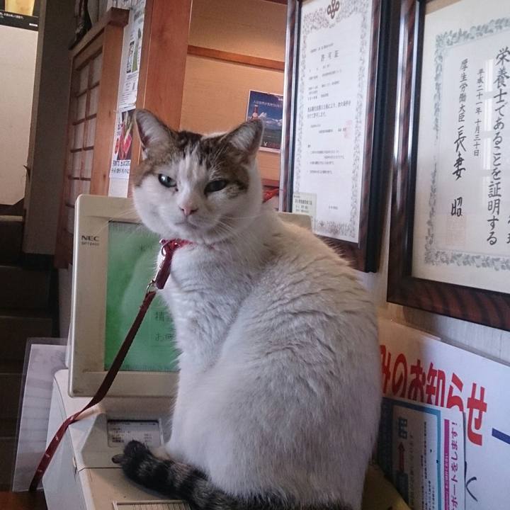 2eb146c8 93b6 466a 9ca0 a838545cbf27