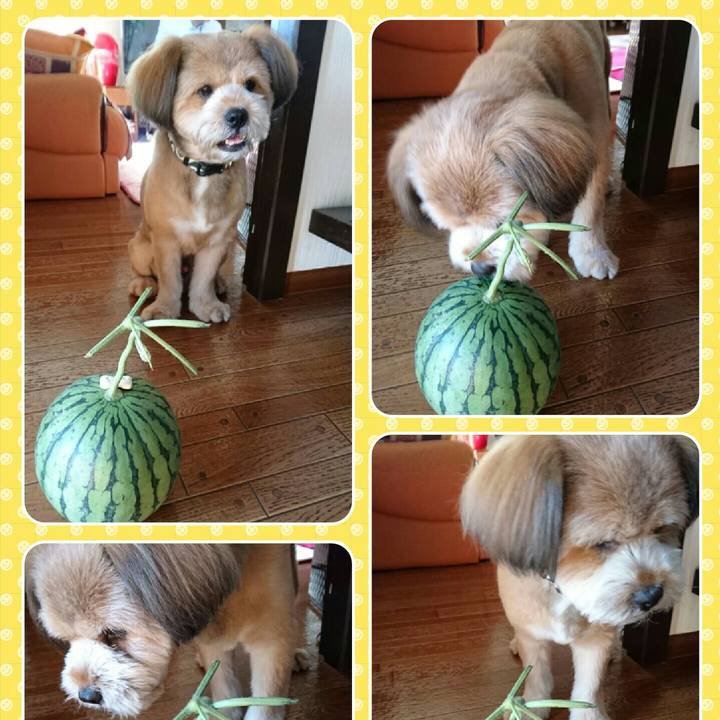 2eb1797f 3cee 42f7 a6d9 a0b9d2ca2bb6