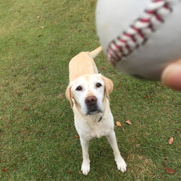 2eb19eb8 a0b5 4d97 8bae 1b4d1ae9c2b8