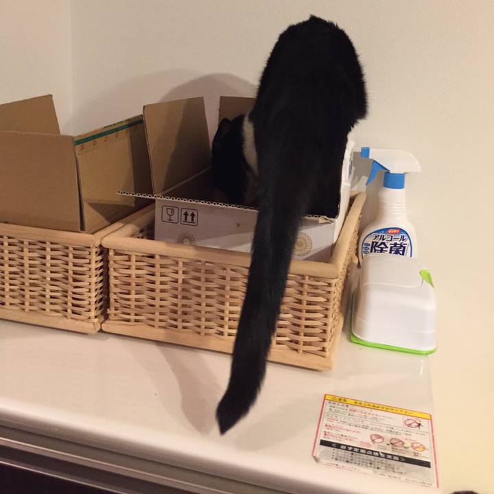 2eb1d636 1d80 443e 82a5 e6f7105261c4