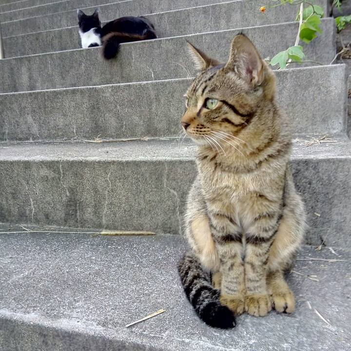 2eb20801 b215 4cce 9dce 6d3d7010d84d