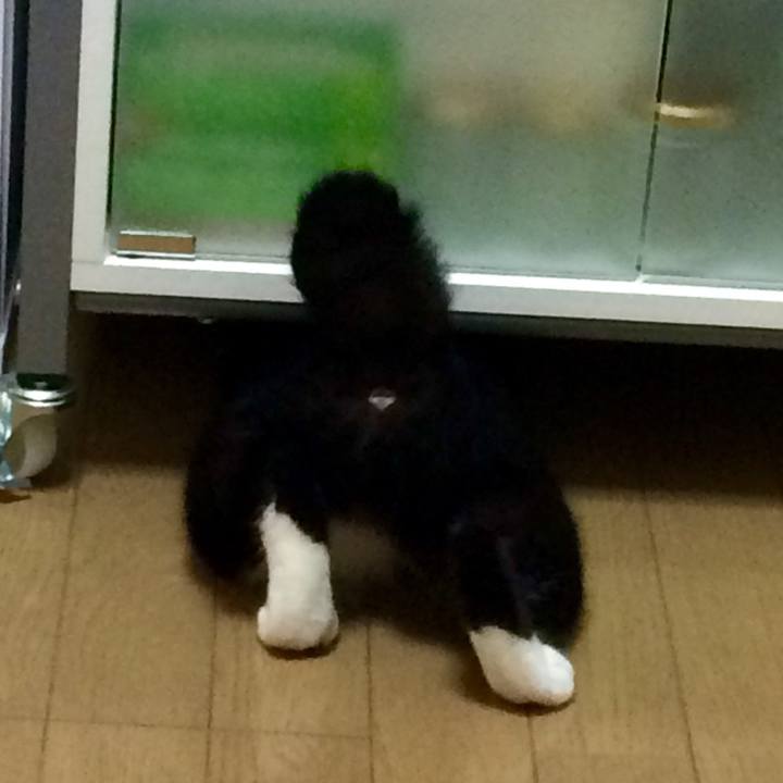 2eb25802 2e68 460c 8d5c fc07646f2e69