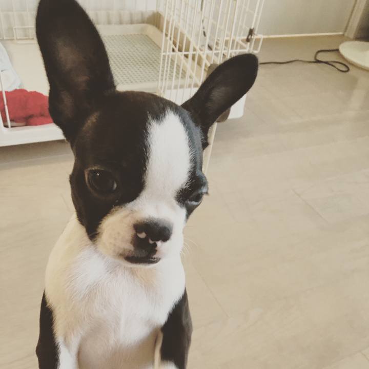 2eb26420 fc63 4854 a0da c81e73882d9e