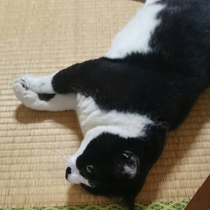 2eb2a399 d5e0 403b a396 6f15ac713420