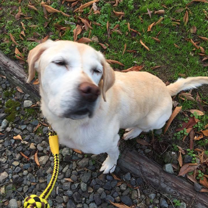 2eb3273e b499 4798 9cc4 5ae9f0689920