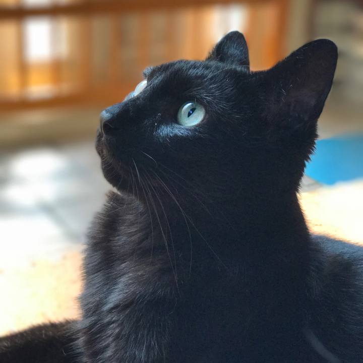 2eb33f9e 7960 4d20 86db 0fafeec891ee