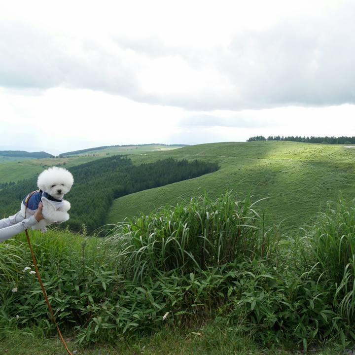 2eb34765 ce08 44a3 a171 79b23717184e