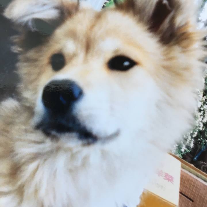 2eb36f80 6b39 439b 987b e084cfe20b86