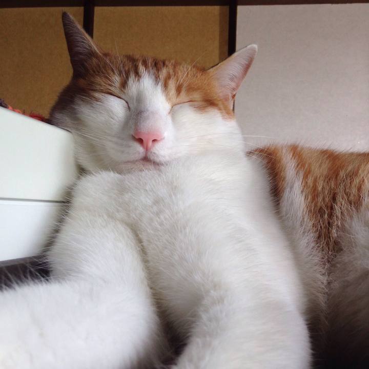 2eb4d0c9 3aed 4563 b81c 7cbc70723a00