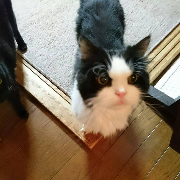 2eb53bce 87a0 4e03 b915 57a4c8426b02